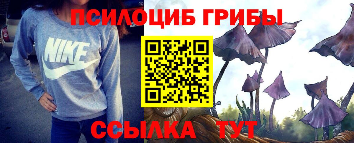 Галлюциногенные грибы GOLDEN TEACHER Джанкой